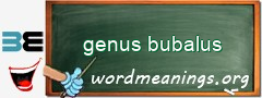 WordMeaning blackboard for genus bubalus